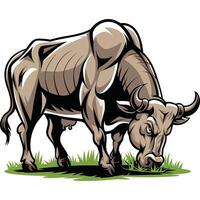 Bull grazing on grass vector