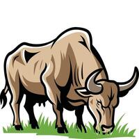 A bull grazing in the grass vector