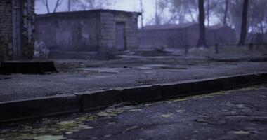 Foggy landscape with abandoned buildings and overgrown pavement in the evening video