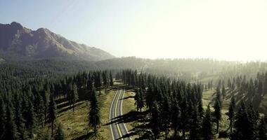 Scenic mountain view with winding road and lush green forests at sunrise video