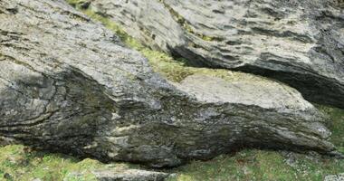 Natural stone texture with moss in a serene outdoor setting during daylight video