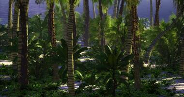 lozano tropical bosque con palma arboles y vibrante verdor cerca un sereno laguna video