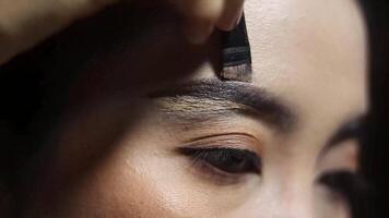 fechar-se Visão do sobrancelha Aprimoramento com uma escovar. modelar e definidor sobrancelhas para uma polido beleza olhar. profissional Maquiagem sessão. video