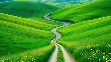 Scenic countryside road winding through lush green fields photo