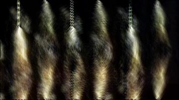 Abstract Haze Mist Smoke Background Digital Rendering video