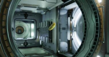 Pickled cucumber floats in zero gravity inside the international space station video