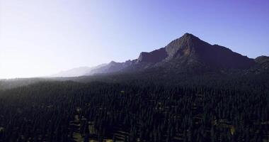 Scenic view of mountains rising over a vast forest during daylight video