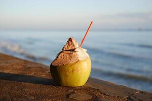 Refreshing Coconut by the Sea photo