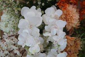 Elegant White Orchids in a Floral Arrangement photo