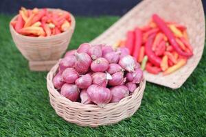 Aromatic Shallots and Spicy Chilies on Grass photo