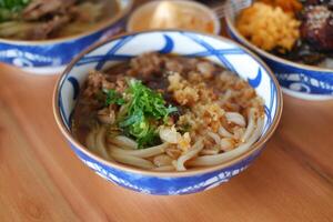Savory Udon Noodles in Rich Broth photo