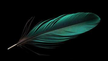 striking black background with teal photo