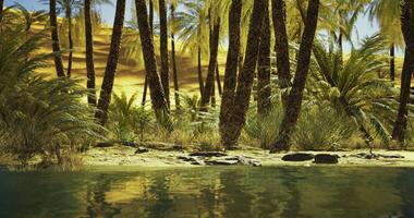 Lush oasis surrounded by palm trees and sandy dunes during bright afternoon video