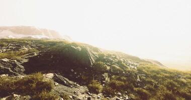 Landscape with grass and rocks under bright sunlight in a serene environment video