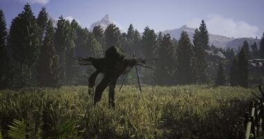 Scarecrow stands in an expansive field surrounded by tall trees and mountains video