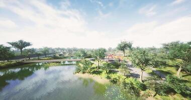 Scenic view of a serene lake surrounded by lush greenery in daylight video