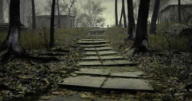 Pathway through a misty forest with trees and abandoned structures video