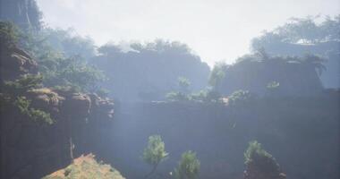 Scenic view of a misty canyon with lush greenery and sunlight video
