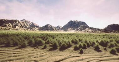 Expansive desert landscape with mountain backdrop during golden hour video