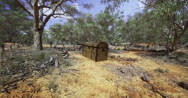 Mysterious wooden chest discovered in a remote Australian bushland setting video