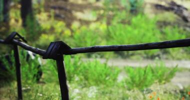 Wooden fence along a grassy path in a serene natural setting video