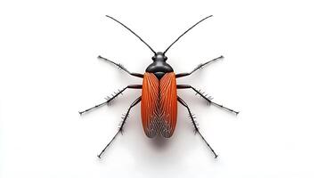 Close-up view of a vibrant insect with detailed features against a plain background photo
