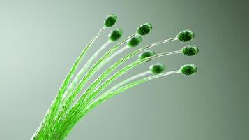Close-up view of green plant-like structures emerging from a subtle background, symbolizing growth photo