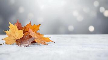 Colorful autumn leaves scattered on a snowy surface with a soft bokeh background effect photo