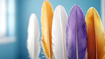 Colorful feathers arranged in a row against a soft blue background with natural light photo