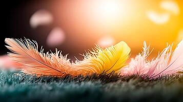 Colorful feathers resting on soft grass with a warm, glowing background and floating petals photo