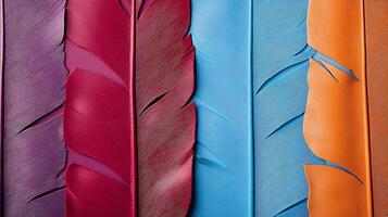 Colorful feathers arranged in a row showcasing vibrant hues and textures against a neutral background photo
