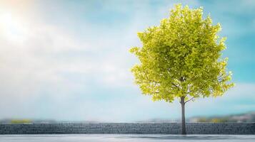 Lush Green Tree Standing Alone Against a Clear Sky with Soft Clouds and a Stone Wall photo