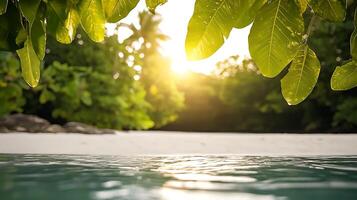 Tranquil beach scene with sunlight filtering through lush green leaves and calm water photo