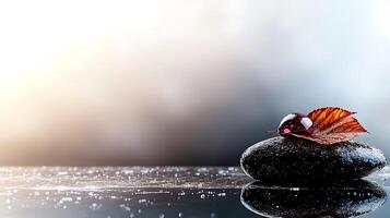Tranquil scene featuring a smooth stone with a vibrant leaf and dew drop, reflecting serene ambiance photo