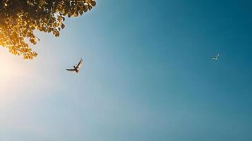 Two birds soaring in a clear blue sky with sunlight filtering through tree leaves photo