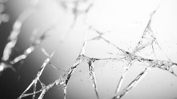 Cracked glass displays complex, delicate patterns while reflecting light against a soft background, creating a striking visual effect in black and white photo