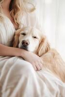 Soft sunlight streams through a window as a graceful woman sits comfortably, cradling her golden retriever. The warm atmosphere and gentle lighting create a tranquil and luxurious vibe photo