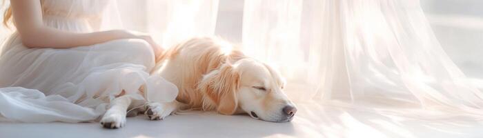 Soft sunlight filters through a window, illuminating a serene moment as an elegant woman sits gracefully with her golden retriever resting beside her, wrapped in warm pastels photo