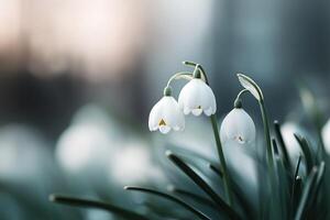 Delicate white wildflowers emerge through lush green grass, surrounded by a gentle soft-focus bokeh background that creates an atmosphere of serenity and elegance in nature photo