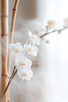 A delicate arrangement of bamboo and orchids stands out against a soft ambient fog, embodying a calming, luxury spa atmosphere with warm neutral tones and deep fine-art depth photo