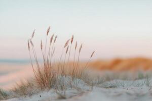 Tall wild grass dances in a gentle breeze under soft sunlight, creating a serene atmosphere with pastel hues. The scene evokes a calming Scandinavian minimalist aesthetic photo