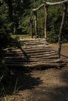 wooden bridge made of logs in the forest. huge green trees around. on a sunny day a shadow falls on the path photo