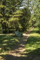 forest path in the park and a bench near the path. There are many trees in the park, a bright sunny day photo