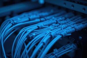 a close up of a network cable photo