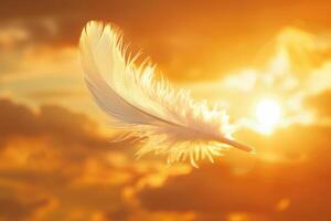 A feather floating in the air with the sun in the background photo