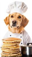 A dog wearing a chef hat and standing next to stacks of pancakes photo