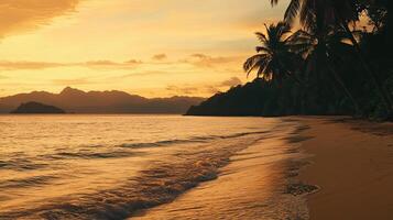 A beach with palm trees and water at sunset photo