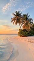 A tropical beach with palm trees and water at sunset photo