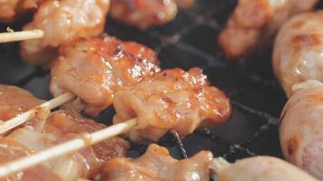 A close up of skewers on a grill video