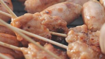 Skewered meat on skewers with a wooden stick video